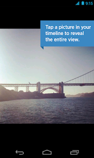 Twitter - screenshot thumbnail