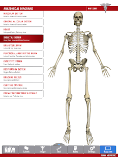 Anatomy Study Guide