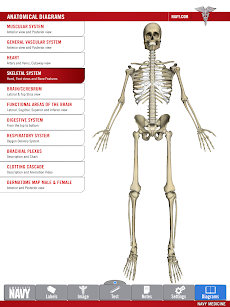 Anatomy Study Guideのおすすめ画像3