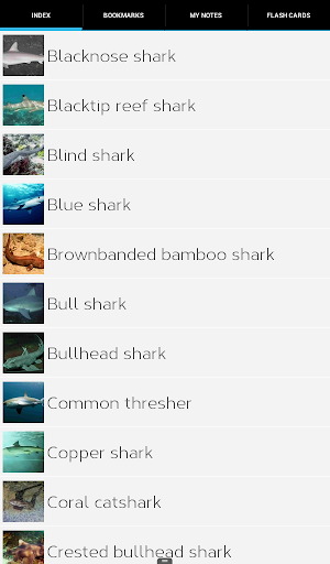 免費下載教育APP|Shark Species: Types of Shark app開箱文|APP開箱王