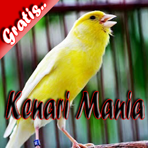 Kenari Mania.apk 1.0