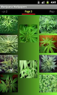 How to download Weed Wallpapers and Pictures lastet apk for pc