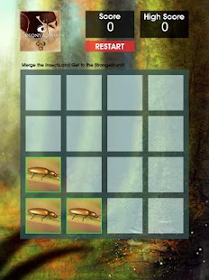 How to download Colony Clash : Merge Beetles 1.0 apk for laptop