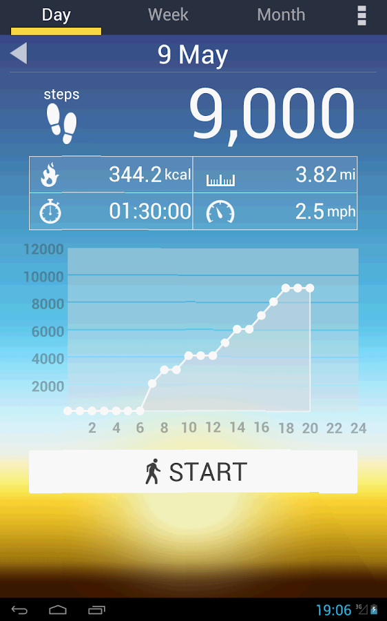 Pedometer - screenshot