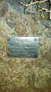 Helen Wexler Memorial