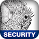 Network Security Assess
