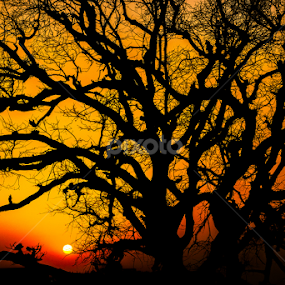 Sunset by Adityendra Solanki - Landscapes Sunsets & Sunrises