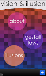 Vision & Illusions poster 1