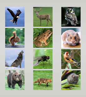 Animal sounds Screenshots 18