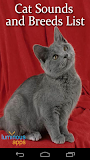 Cat Sounds and Breeds List