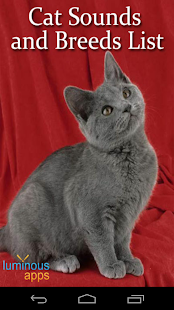 Cat Sounds and Breeds List(圖1)-速報App