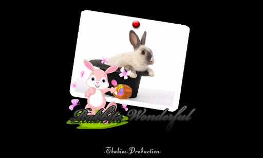 wonderful rabbits