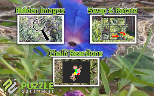 【免費解謎App】Free Wild Flowers Puzzle Games-APP點子