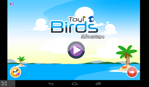 Toyi Birds Adventures