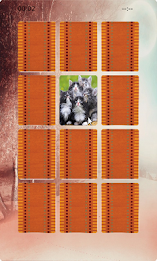 Cat Matching poster 3