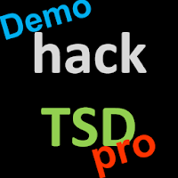 hackTSDpro Rally Computer Demo