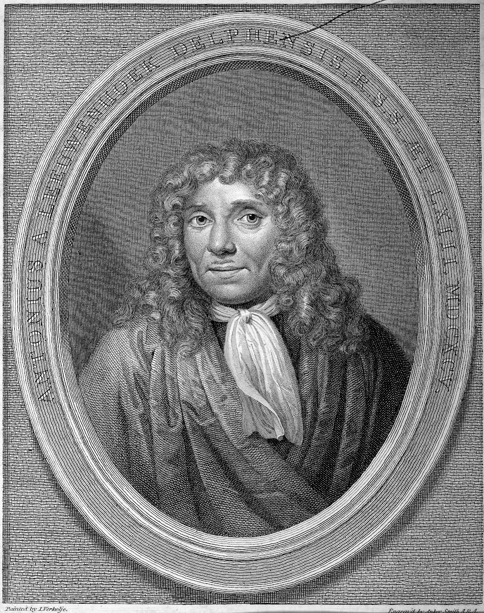 Antonie Van Leeuwenhoek Google Arts Culture