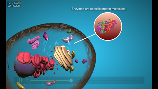 DNA to Protein Synthesis Screenshots 3