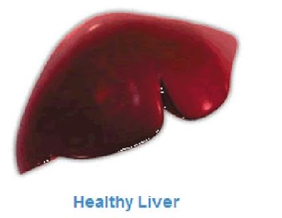 Lastest Liver Care APK for Android