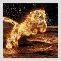 Fire Tiger Live Wallpaper icon