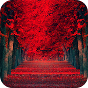Red Leaves Live WallPaper  Icon