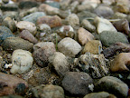 May be your path is rocky but it can still be beautiful, Tarun Chandel Photoblog