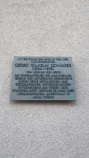 Georg Wilhelm Schimper 