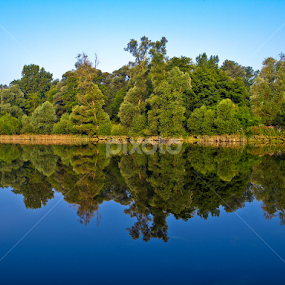 Quiet morning by Goran Lee - Landscapes Waterscapes