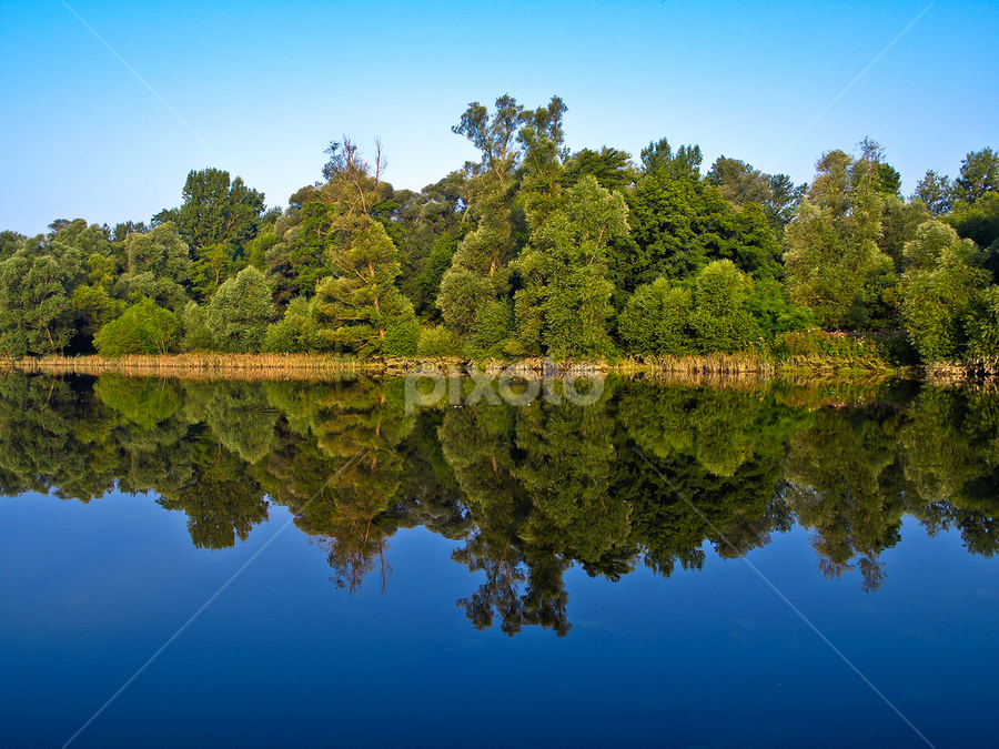 Quiet morning by Goran Lee - Landscapes Waterscapes