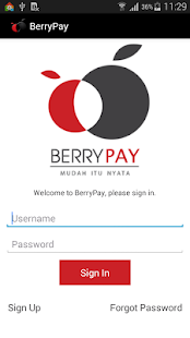 BerryPay Screenshots 1