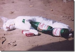 image004