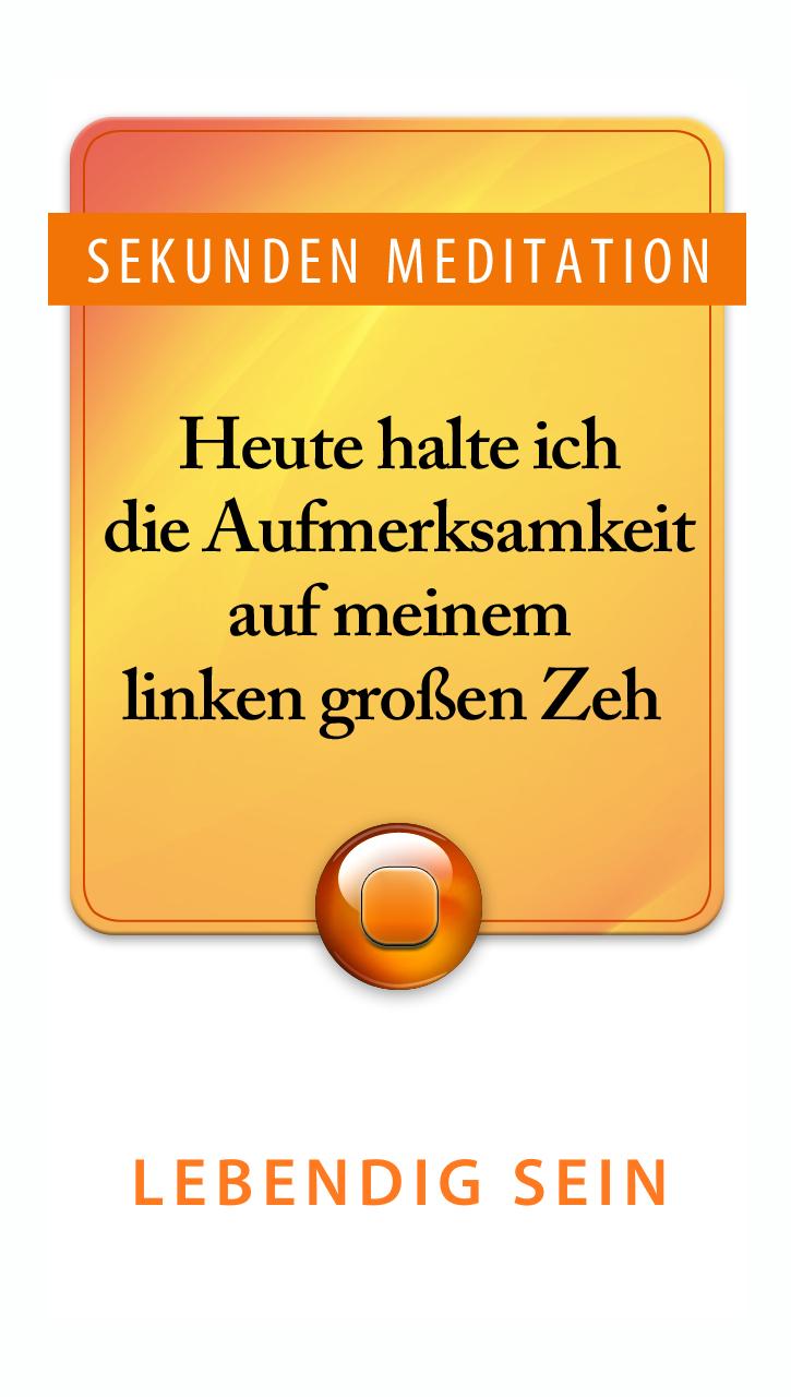 99 Sekunden Meditationen Screen 2