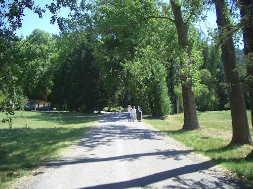 THE DOMINICAN TEACHING SISTERS OF THE HOLY NAME OF JESUS AND OF THE IMMACULATE HEART OF MARY