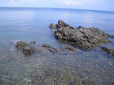 フィリピンのバサンバサ・ビーチ (Basangbasa Beach, Iloilo, Phillippines) という海岸に行った時に見つけた椰子の木のお花をご紹介します
