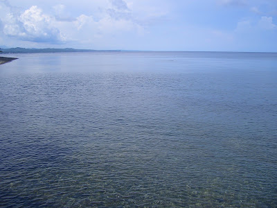 フィリピンのバサンバサ・ビーチ (Basangbasa Beach, Iloilo, Phillippines) という海岸に行った時に見つけた椰子の木のお花をご紹介します