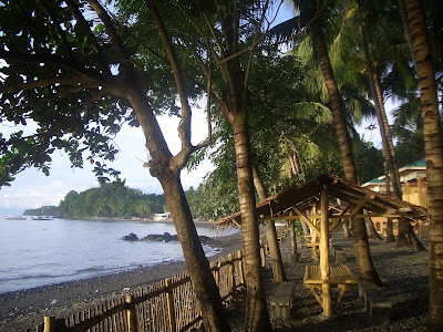 フィリピンのバサンバサ・ビーチ (Basangbasa Beach, Iloilo, Phillippines) という海岸に行った時に見つけた椰子の木のお花をご紹介します