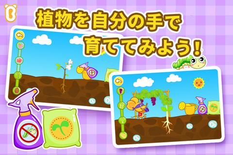 ふしぎな種ーBabyBus 子ども・幼児向け無料知育アプリ