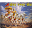 Shrimad Bhagwad Geeta Marathi Download on Windows