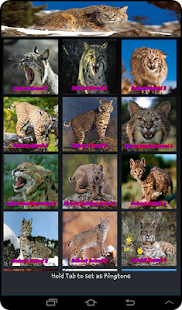 How to mod Bobcat Sounds 1.0 apk for pc