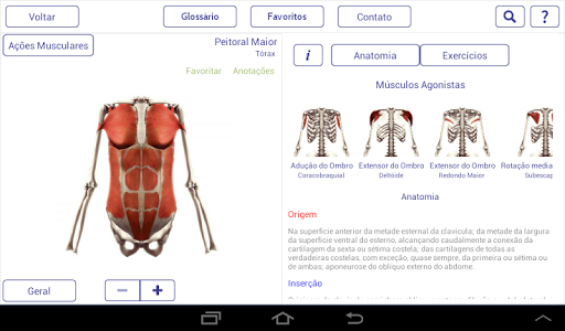 【免費健康App】Atlas do Exercício (Tablet)-APP點子