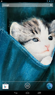 Kitten Slideshow Screenshots 0