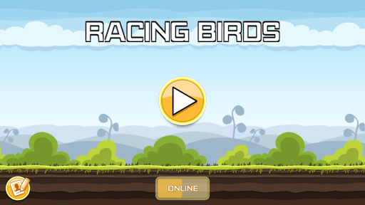 Racing Birds HD
