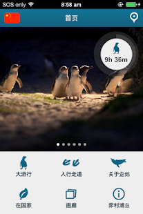 企鹅大游行，菲利普岛(圖1)-速報App