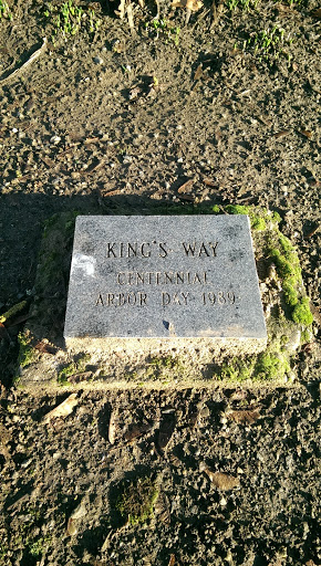 King's Way Tree