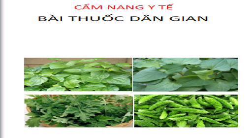 Cẩm Nang Bài Thuốc Dân Gian