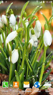 Spring Nature Live Wallpaper(圖5)-速報App