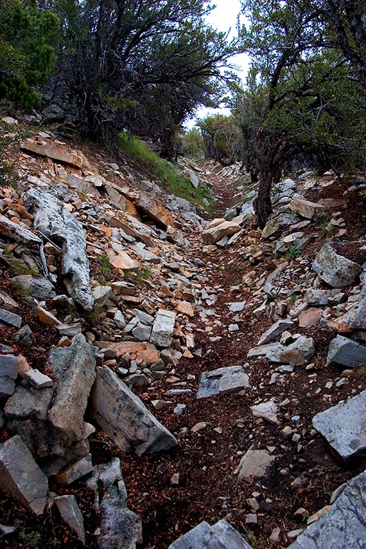 [hike14.jpg]