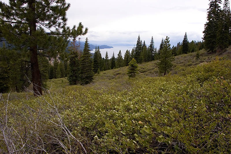 [hike2[5].jpg]