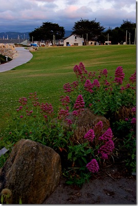 monterey
