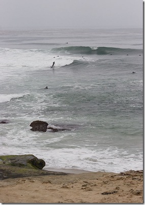 surfers